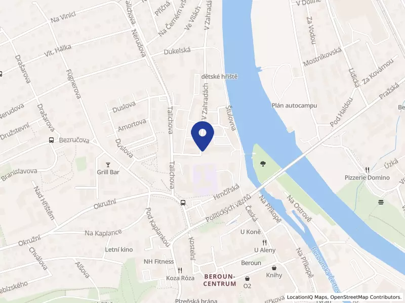 Mateřská škola Montessori Beroun, Základní škola a Střední škola s.r.o., V Zahradách 1874, 26601 Beroun - Beroun-Město, IČO 01609793