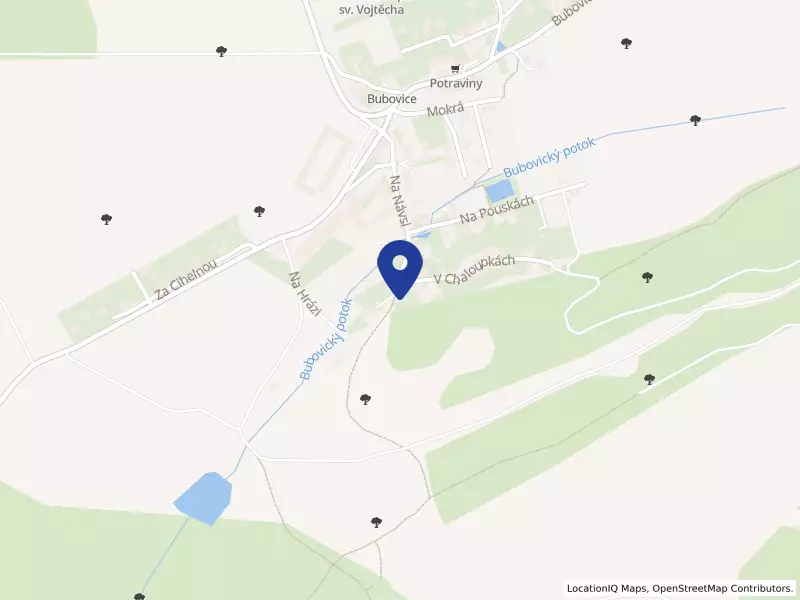 Jamais-vu s.r.o., Bubovice, K Čeřince 14, 26718 Bubovice - Bubovice, IČO 06908926