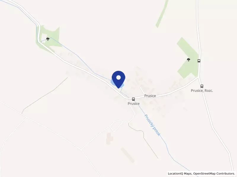 VSSL ČR o.p.s., 51, 28163 Prusice - Prusice, IČO 24732915