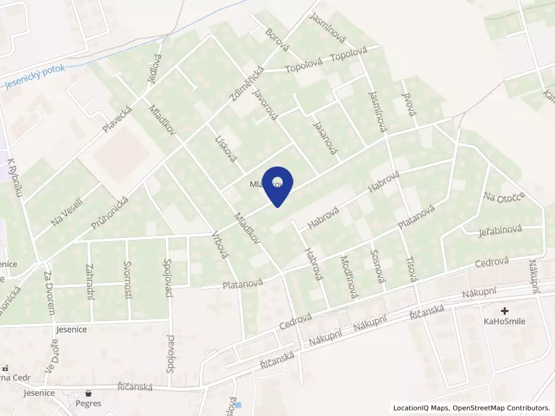 Be fyzio s.r.o., U Parku 847, 25242 Jesenice - Jesenice, IČO 21293562