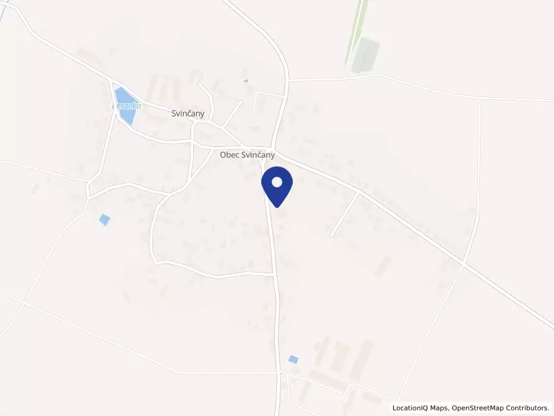 KONSOLSERVIS s.r.o., 125, 53501 Svinčany - Svinčany, IČO 06960162