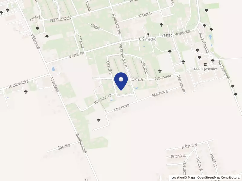 BORIS GNOTH BPO, s.r.o., Lipová 465, 25250 Vestec - Vestec, IČO 08489955