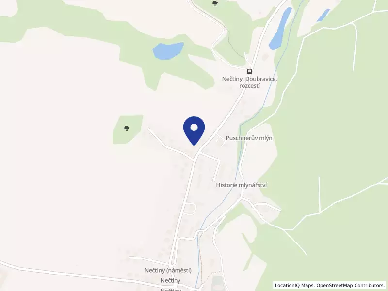 Základní škola a Mateřská škola Nečtiny, okres Plzeň-sever, příspěvková organizace, 39, 33162 Nečtiny - Nečtiny, IČO 60610883