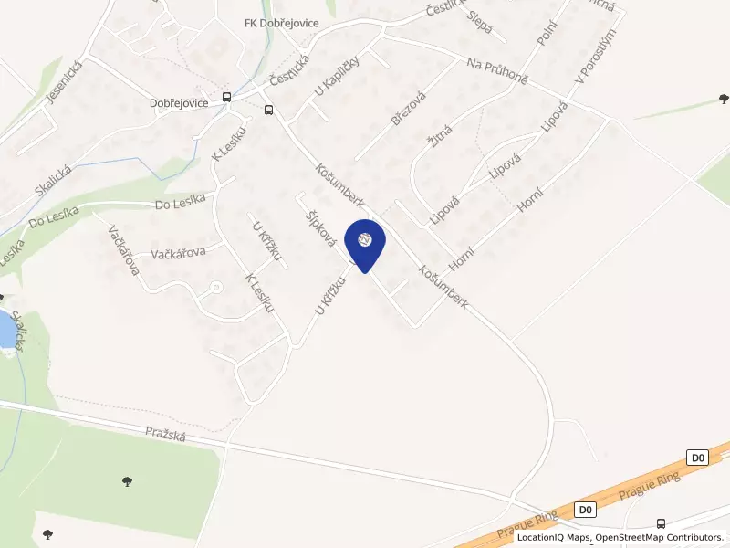 PAYROLL SOLUTIONS s.r.o., Nad Robotou 425, 25101 Dobřejovice - Dobřejovice, IČO 24254975