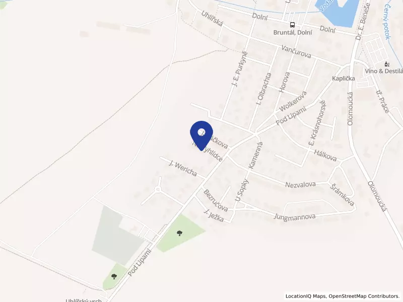 SSF DANYI spol. s r.o., Na Vyhlídce 1374/3, 79201 Bruntál - Bruntál, IČO 25820567