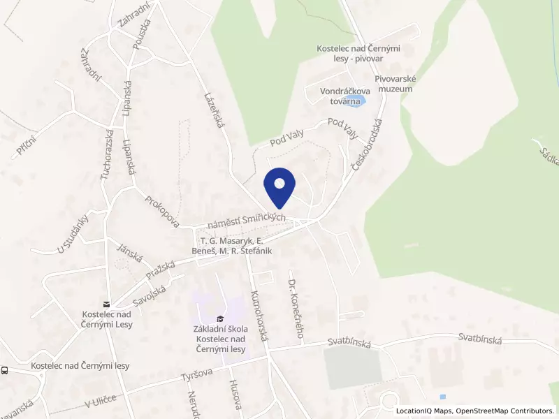 SAPLIDENT, s. r. o., náměstí Smiřických 78, 28163 Kostelec nad Černými lesy - Kostelec nad Černými lesy, IČO 05661978
