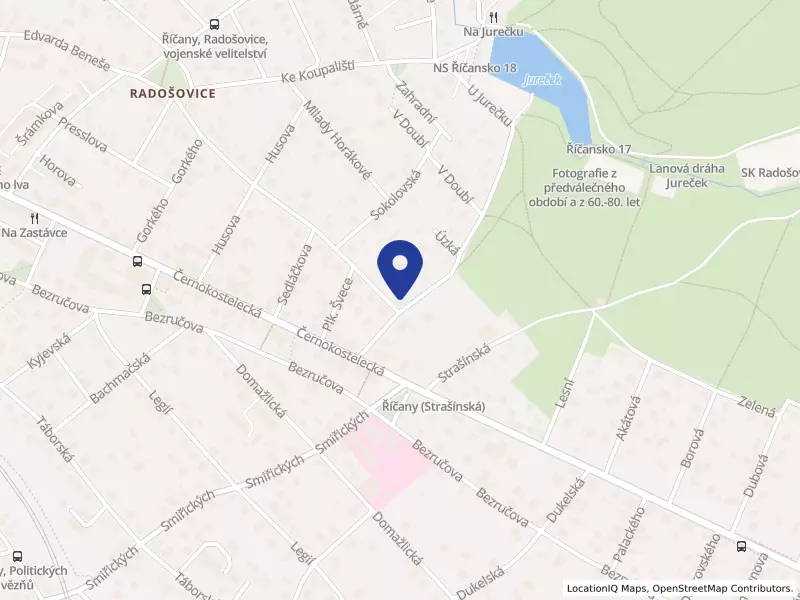 Terapeutické centrum Modré dveře, z.ú., Tyrše a Fügnera 105/7, 25101 Říčany - Radošovice, IČO 22768602