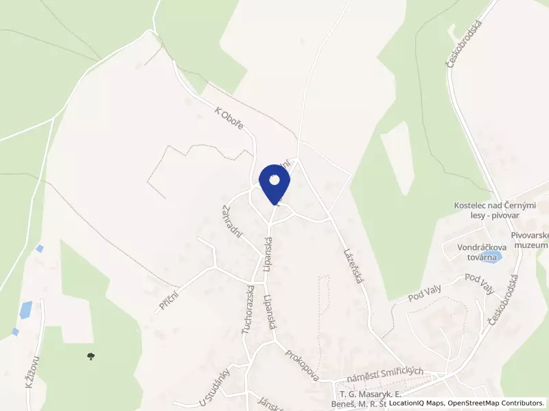 SEŇORINA s.r.o., Poustka 180, 28163 Kostelec nad Černými lesy - Kostelec nad Černými lesy, IČO 24714917