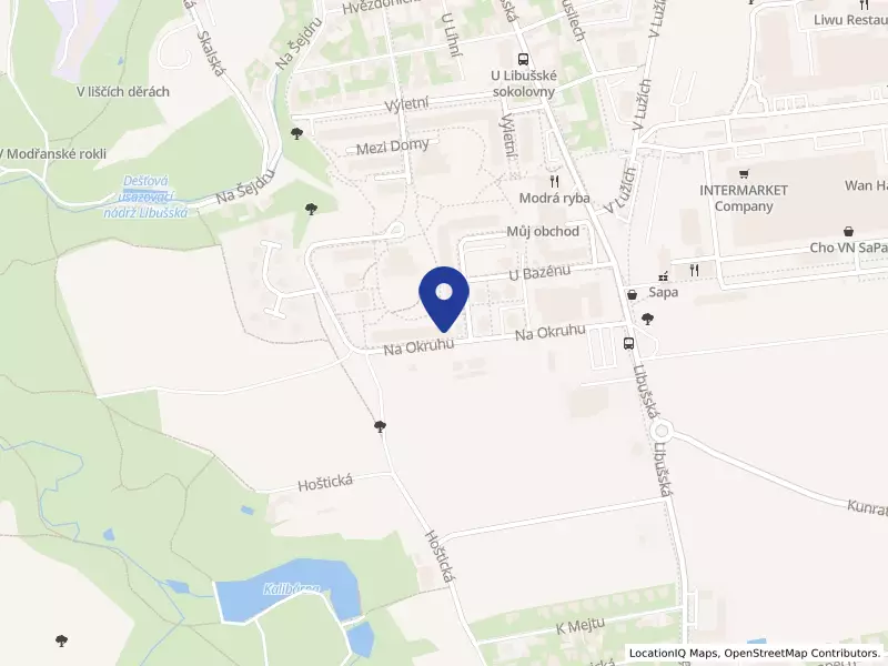 Dien Lanh SV s.r.o., Na okruhu 384/23, 14200 Praha 4 - Písnice, IČO 14262860