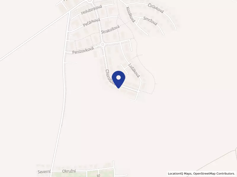 Wok-dej s.r.o., Chorošová 257/40, 10400 Praha 10 - Pitkovice, IČO 19706057