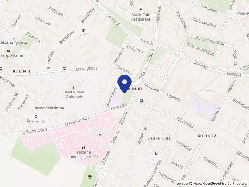 Gymnázium, Kolín III, Žižkova 162, Kolín, Žižkova 162, 28002 Kolín - Kolín III, IČO 48665819