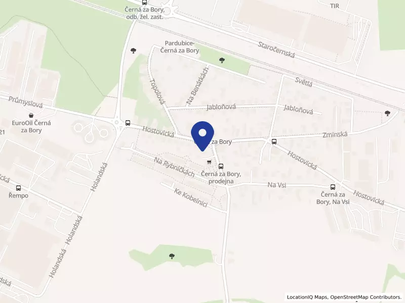 Střední škola řemesel a služeb Pardubice, s.r.o., Ke Kobelnici 110, 53301 Pardubice - Černá za Bory, IČO 25262301