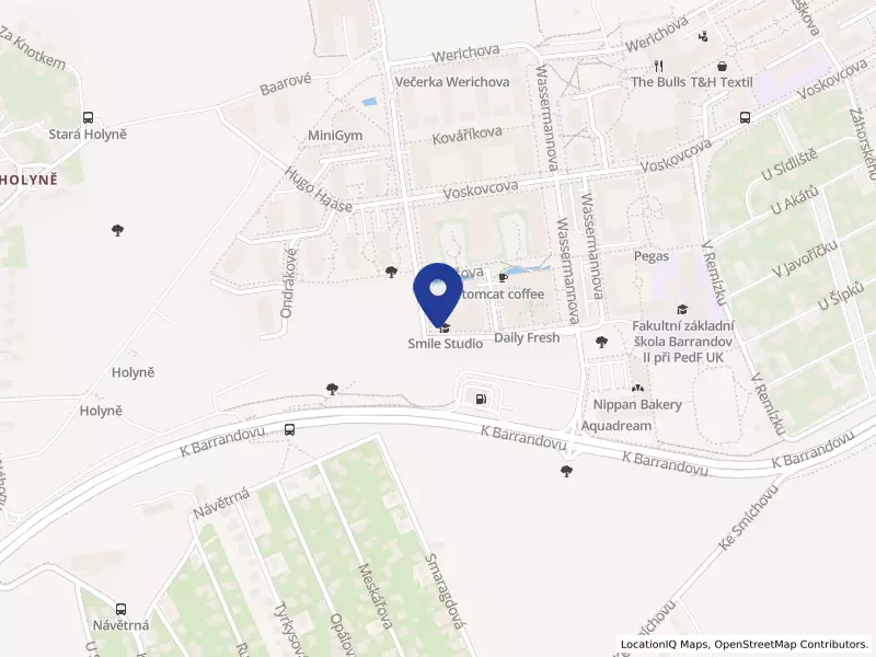 Tailwind Solutions s.r.o., Schránilova 1279/2, 15200 Praha 5 - Hlubočepy, IČO 21330409