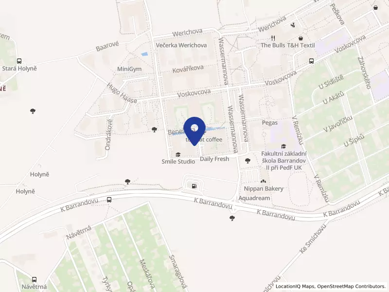 IT Focus Academy s.r.o., Novotného 1279/1, 15200 Praha 5 - Hlubočepy, IČO 23442573