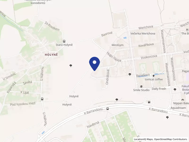 VitalHUB s.r.o., Gollové 1289/1, 15200 Praha 5 - Hlubočepy, IČO 19739265