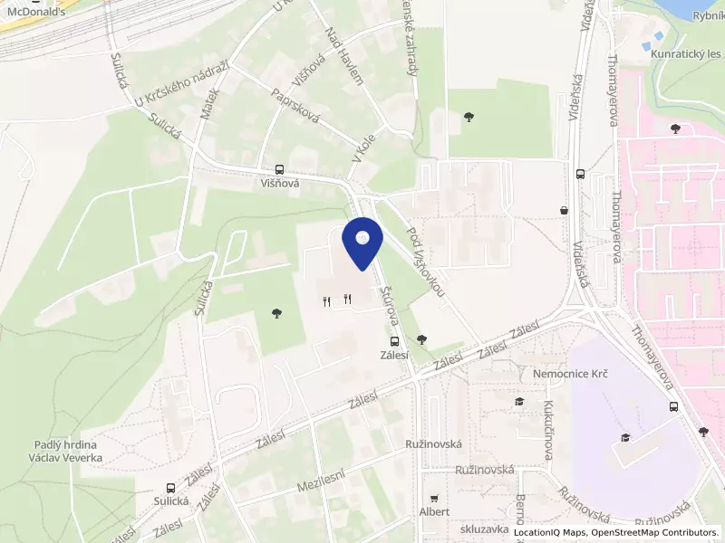 MATRIX TRAVEL, s.r.o., Praha, Štúrova 1701/55, 14200 Praha 4 - Krč, IČO 26513277