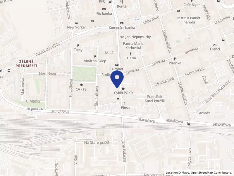 Professional Financial Services s.r.o., 17. listopadu 236, 53002 Pardubice - Zelené Předměstí, IČO 08641731