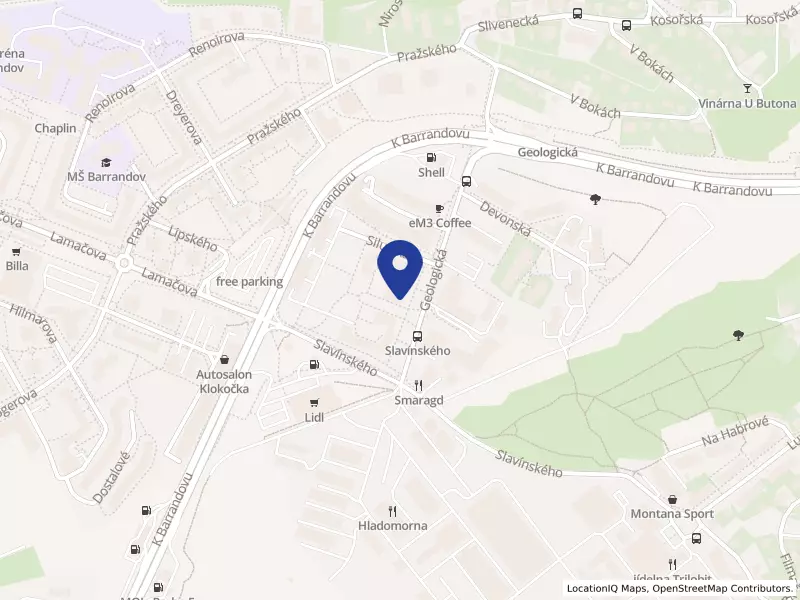 ASIA CENTER, z. s., Geologická 996/11, 15200 Praha 5 - Hlubočepy, IČO 01365169
