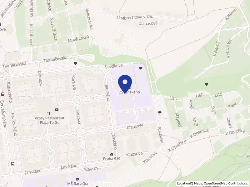 Anglofonní základní škola, z.ú., Janského 2189/18, 15500 Praha 5 - Stodůlky, IČO 04303881