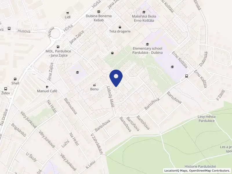 Šikovné ručičky,z.s., Lidmily Malé 818, 53012 Pardubice - Studánka, IČO 05709148