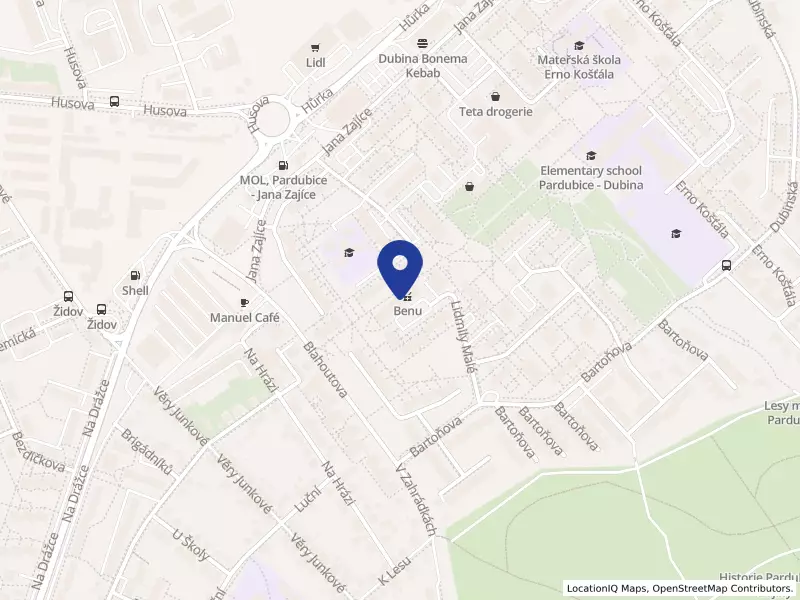 Centrum pohybové terapie s.r.o., Lidmily Malé 656, 53012 Pardubice - Studánka, IČO 04493567
