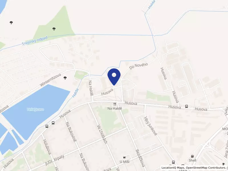 Speciální mateřská škola, základní škola a praktická škola Pardubice, Do Nového 1131, 53003 Pardubice - Bílé Předměstí, IČO 60158981