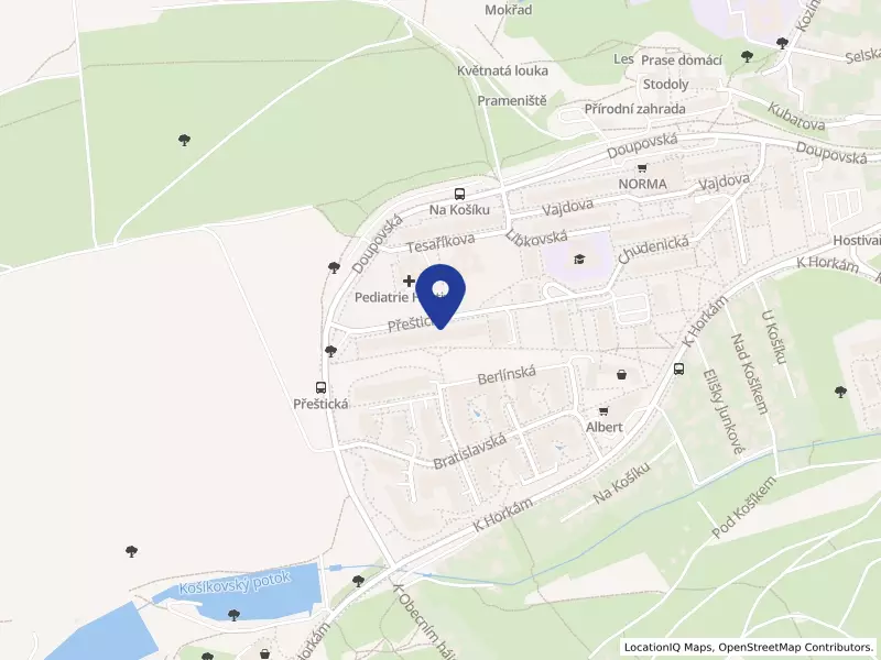 Xnil Solutions s.r.o., Přeštická 1091/14, 10200 Praha 10 - Hostivař, IČO 08795720