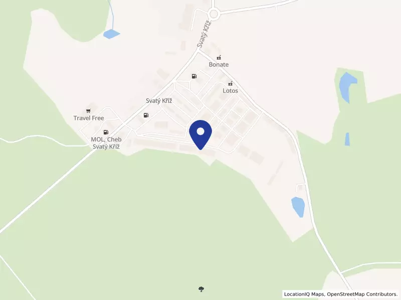 DANVIT EXPRES s.r.o., Svatý Kříž 347, 35002 Cheb - Háje, IČO 25221931