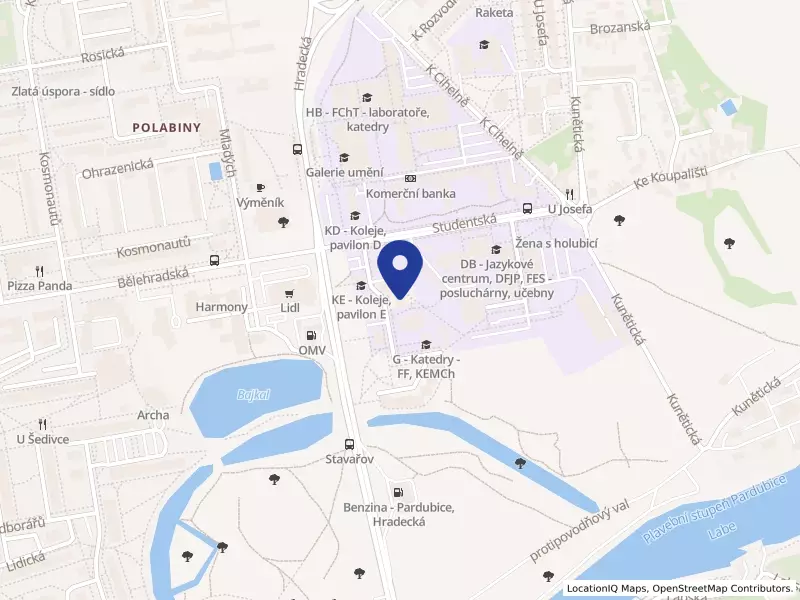 VIPWORKERS s.r.o., Stavařov 99, 53009 Pardubice - Polabiny, IČO 09970266