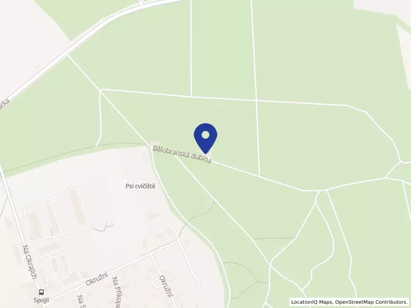 APOLENKA z.s., Bělobranská dubina 1080, 53012 Pardubice - Bílé Předměstí, IČO 69859914