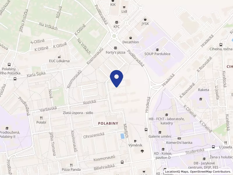 Základní škola Pardubice-Polabiny, Družstevní 305, Družstevní 305, 53009 Pardubice - Polabiny, IČO 48161292