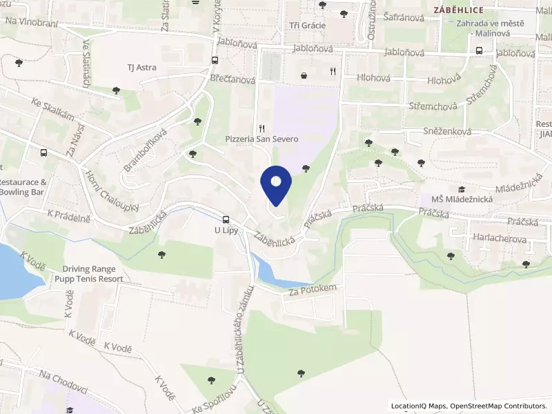 Česká bezpečnostní služba GRÁL s.r.o., Hyacintová 3234/11, 10600 Praha 10 - Záběhlice, IČO 25120310