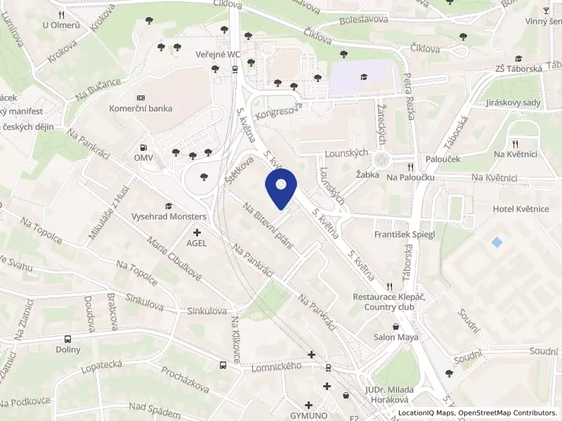 Ludana s.r.o., U gymnázia 1234/3, 14000 Praha 4 - Nusle, IČO 01860283