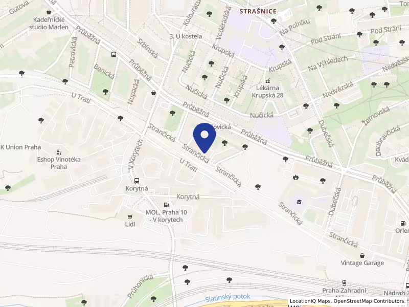 PAMITrans s.r.o., Strančická 1333/31, 10000 Praha 10 - Strašnice, IČO 08270317