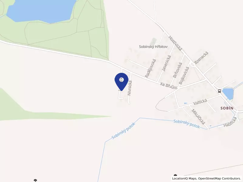 Varix Centrum Dejvice s.r.o., Lubnická 121/5, 15521 Praha 5 - Sobín, IČO 03888525