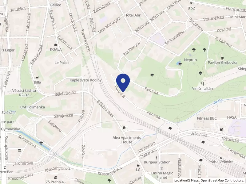 Svobodní, Perucká 2196/14, 12000 Praha 2 - Vinohrady, IČO 71339612