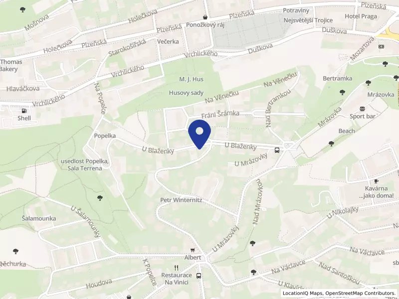 Děti z Blaženky, z. s., U Blaženky 1858/11, 15000 Praha 5 - Smíchov, IČO 21441774