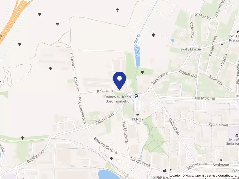 Domov sv. Karla Boromejského, K šancím 50/6, 16300 Praha 6 - Řepy, IČO 65400143