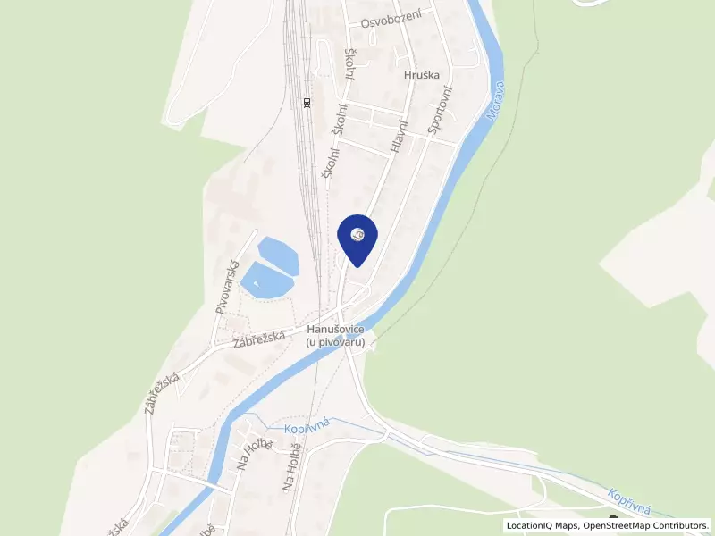 Hanušovická Restaurační, s.r.o., Hanušovice, Hlavní 427, 78833 Hanušovice - Hanušovice, IČO 06434908