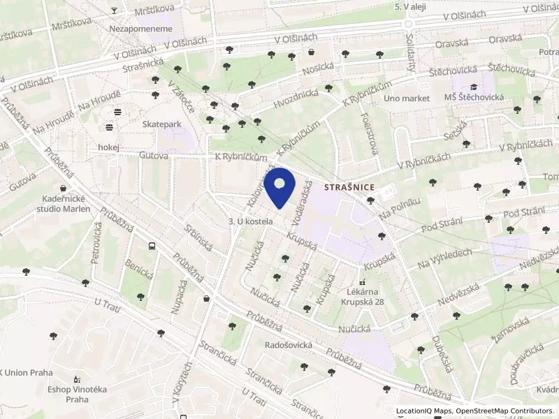 MEDICAL TRAVEL s.r.o., Krupská 3085/5, 10000 Praha 10 - Strašnice, IČO 29056918