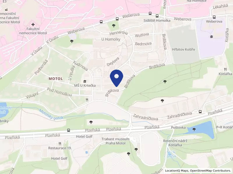 Maso Brejcha s.r.o., Brdlíkova 287/1d, 15000 Praha 5 - Motol, IČO 26342545