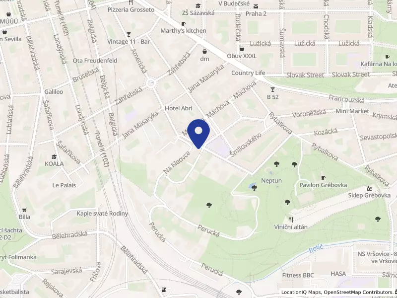 BLA-REI s.r.o., Koperníkova 2281/2, 12000 Praha 2 - Vinohrady, IČO 07401264