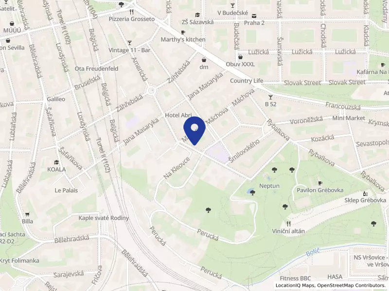 První recyklační s.r.o., Koperníkova 1127/3, 12000 Praha 2 - Vinohrady, IČO 28218523