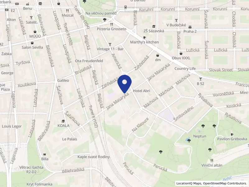 Soukromá základní škola Integrál pro žáky se specifickými poruchami učení, s.r.o., Praha, Jana Masaryka 360/25, 12000 Praha 2 - Vinohrady, IČO 25602578