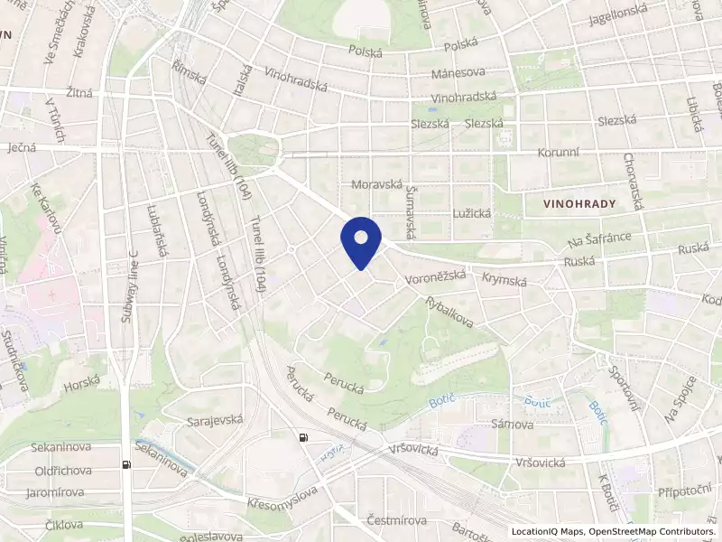 Centrum sociálních služeb Praha 2, Máchova 1029/14, 12000 Praha 2 - Vinohrady, IČO 70880841