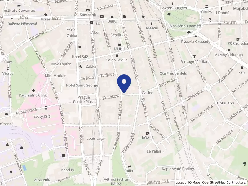 Swagat s.r.o., Koubkova 262/11, 12000 Praha 2 - Vinohrady, IČO 24785261