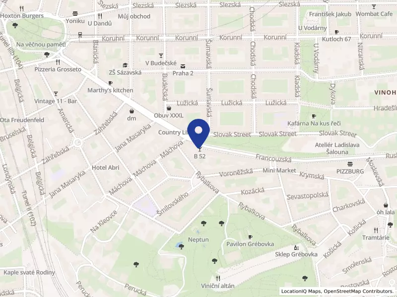 ISP Profi s.r.o., Francouzská 55/52, 10100 Praha 10 - Vinohrady, IČO 29189691