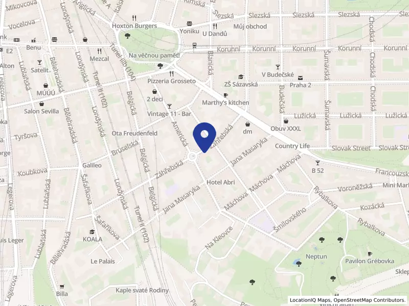 Akord, Organizační jednotka - DENNÍ STACIONÁŘ, Záhřebská 626/36, 12000 Praha 2 - Vinohrady, IČO 68403844