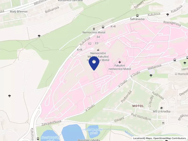 Fakultní nemocnice v Motole, Praha, V úvalu 84/1, 15000 Praha 5 - Motol, IČO 00064203