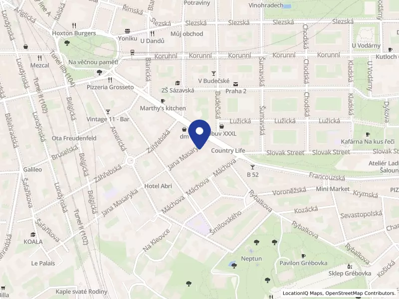 Design Development CZ s.r.o., Jana Masaryka 179/56, 12000 Praha 2 - Vinohrady, IČO 28875052